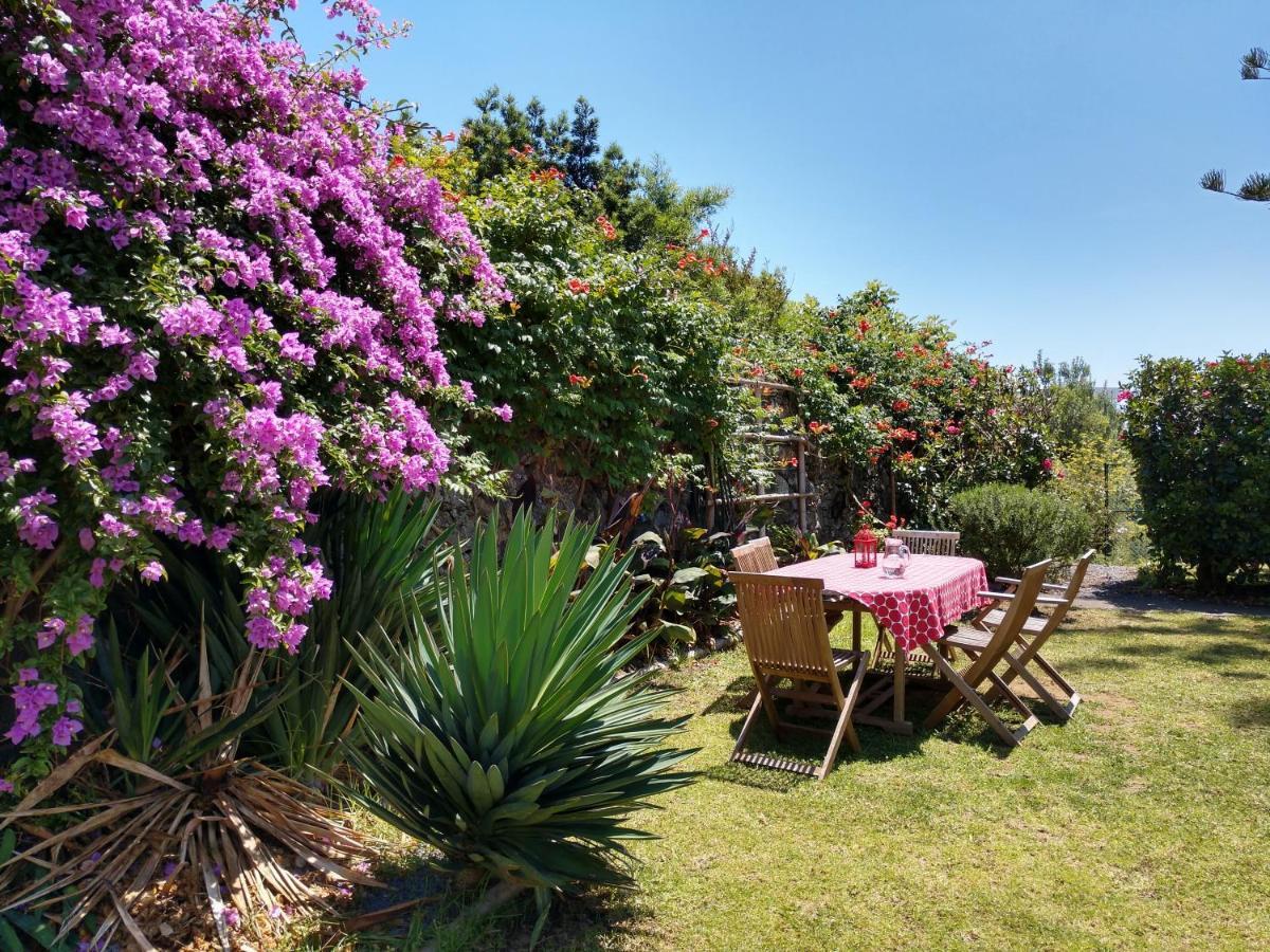 Quinta Da Holiday home *